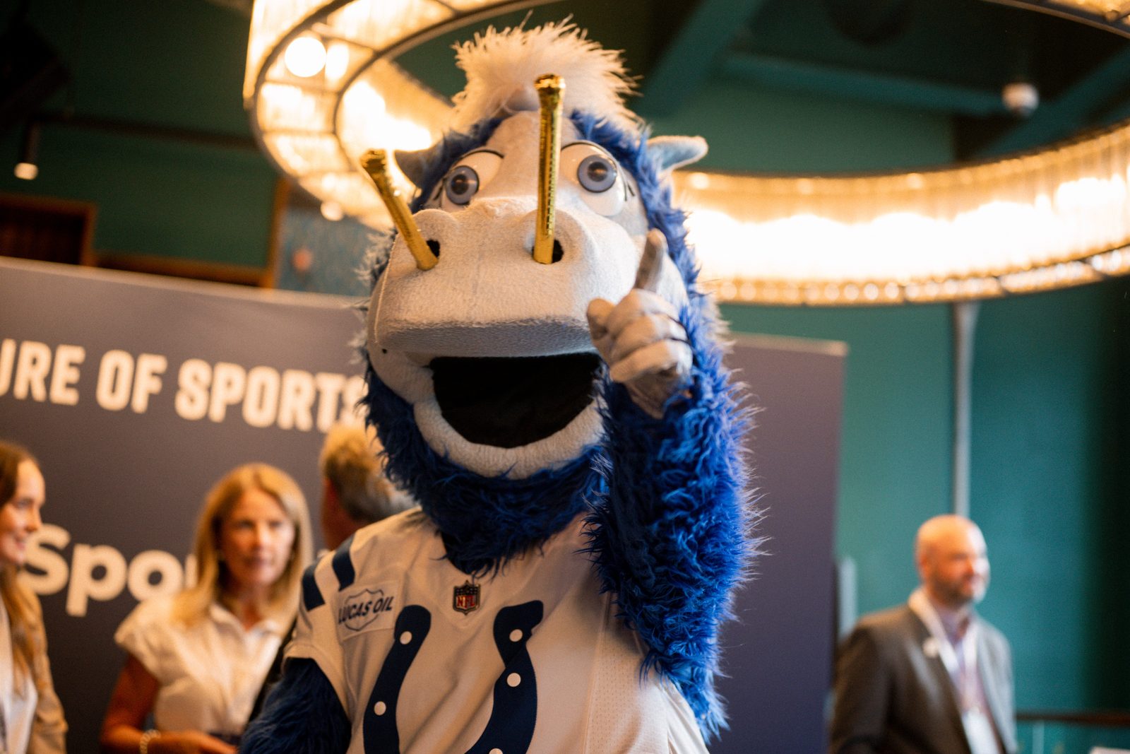 Blue, the Indianapolis Colts' mascot.
